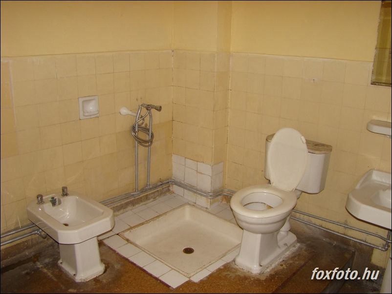 DSC008