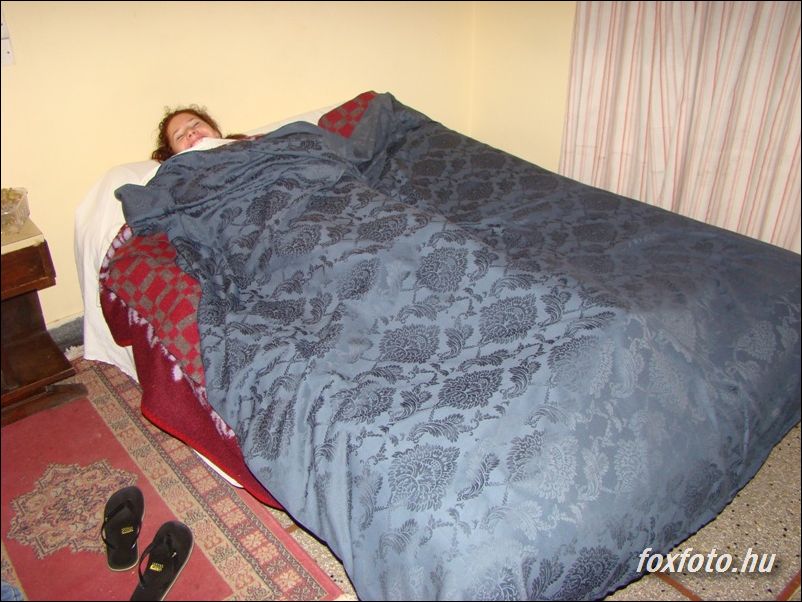 DSC010