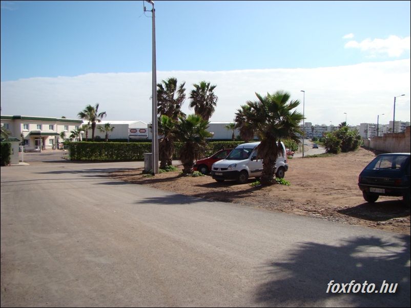 DSC083