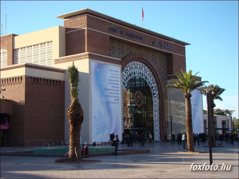 DSC203