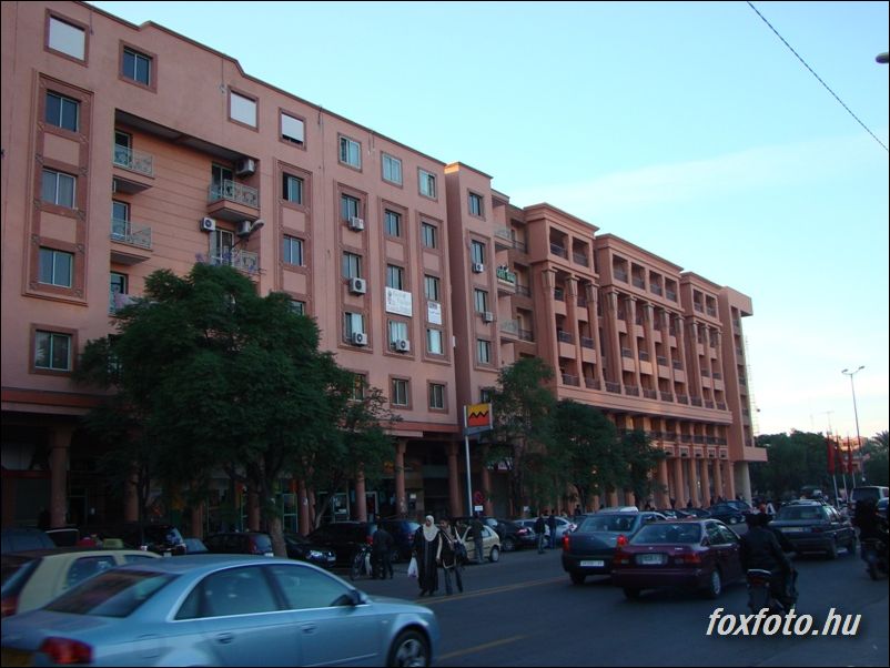 DSC218