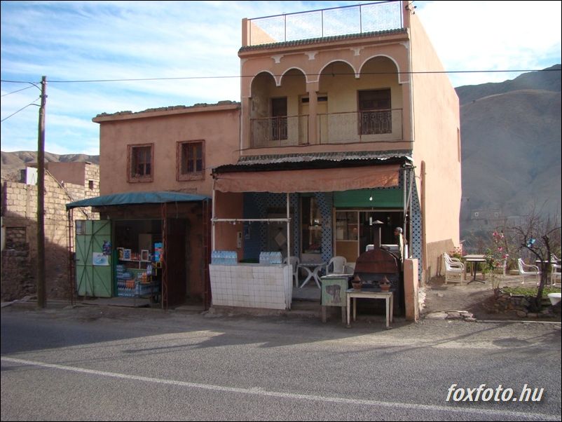 DSC239