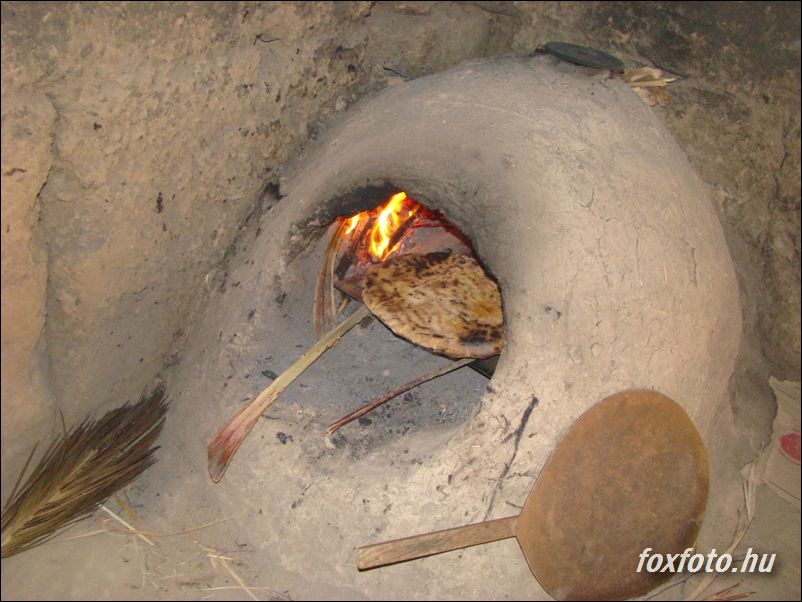 DSC353