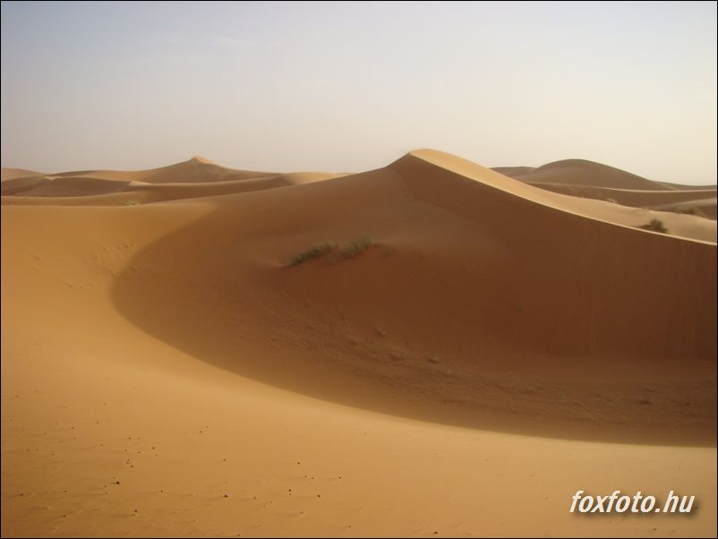DSC408