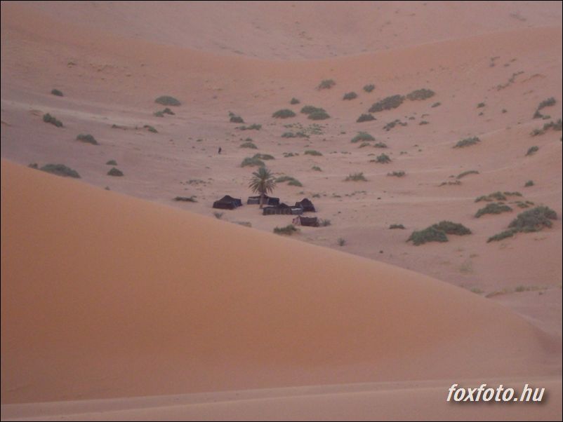 DSC437