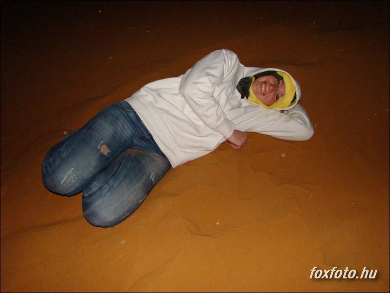 DSC451