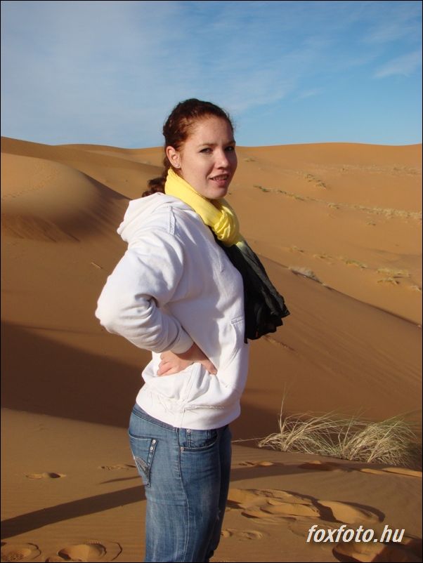 DSC518