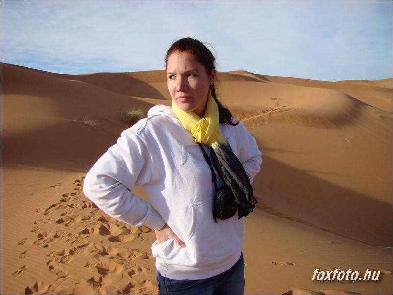 DSC520