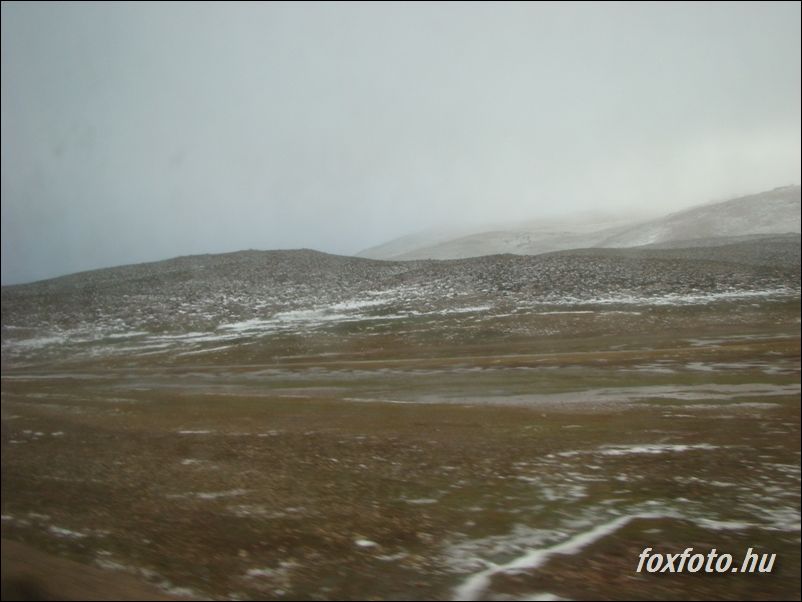 DSC539
