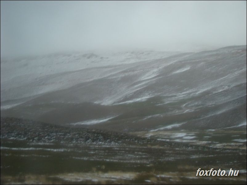 DSC540