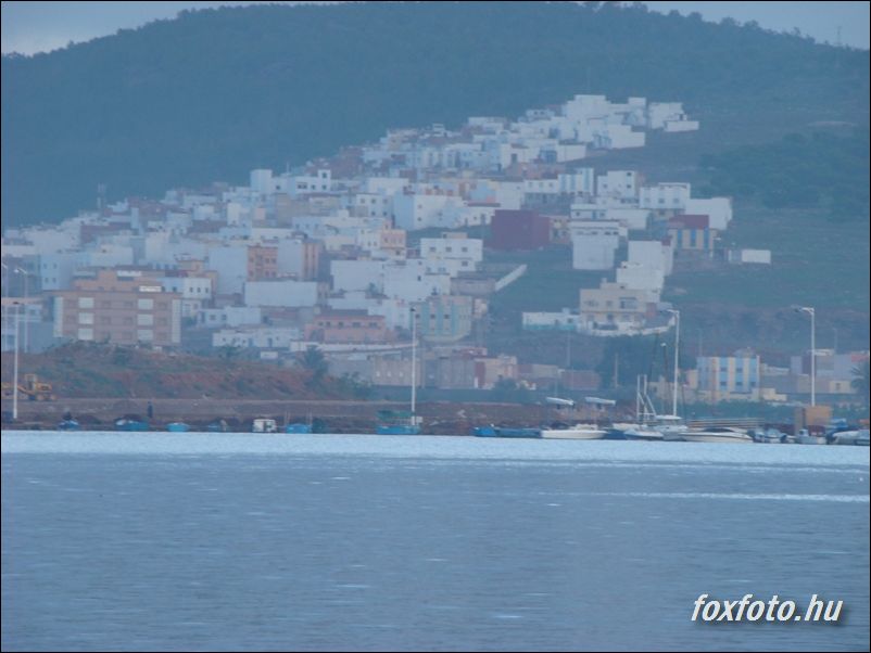 DSC549