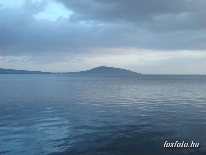 DSC550